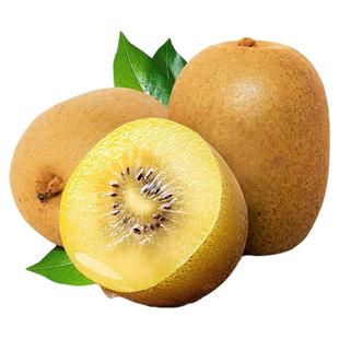 黄心猕猴桃新鲜大果20枚黄金奇异果礼盒产地直发整箱包邮