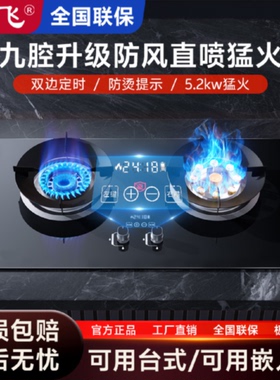 新飞家用台嵌两用天然气燃气灶液化气煤气炉猛火节能灶具煤气灶