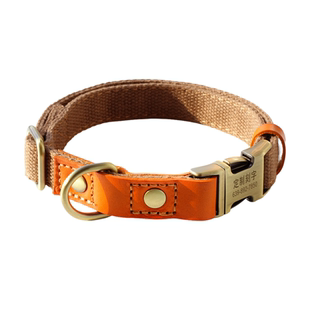 狗狗项圈刻字泰迪比熊小狗项圈小型犬外出脖圈柯基宠物颈圈狗脖圈