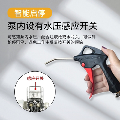 抽酒专用泵小型电动抽水泵充电锂电池隔膜泵家用食品级抽水自吸泵