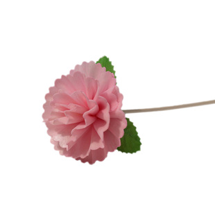 无火香薰扩香花藤条熏香挥发棒装饰干花通草室内持久散香diy配件