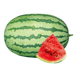 懒汉甜王西瓜种子苗盆栽南方秧四季种植嫁接种籽孑子秧苗大西瓜种