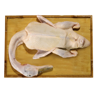 广东清远青头鸭土鸭老鸭子整只新鲜现杀麻鸭农家散养水鸭绿头野鸭