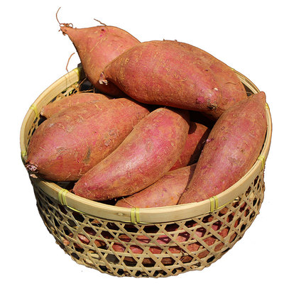 池见 高原香糯蜜紫薯粉糯软糯甜紫罗兰番薯当季新鲜孕妇优质代餐