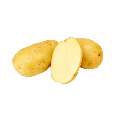 内蒙古土豆沙地乌兰察布黄皮土豆