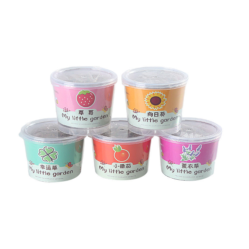儿童种植小盆栽植物生长观察种子