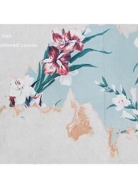 现货 Alec Soth明信片 Alec Soth: Gathered Leaves 亚历克索斯: 收集的树叶 明信片 阿勒克索思 华源时空