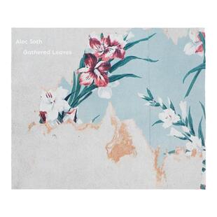 现货 Alec Soth明信片 Alec Soth: Gathered Leaves 亚历克索斯: 收集的树叶 明信片 阿勒克索思 华源时空