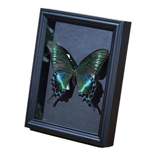 中空2cm蝴蝶标本相框 DIY手工纪念画框干花标本玻璃摆台包纸框