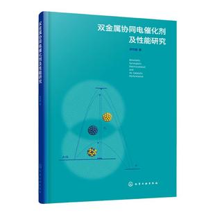 双金属协同电催化剂及性能研究 双金属协同催化 作用机理 催化剂制备与表征 甲醇氧化 析氧和氧还原 甲酸氧化 燃料电池 氢能源