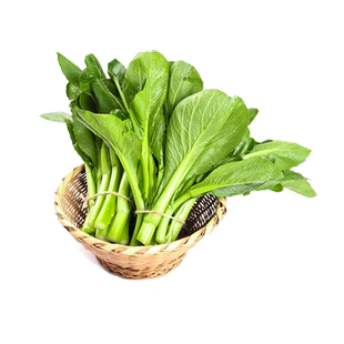 奶油白菜苔种子油青甜菜心种籽春夏季红菜芯种孑四季小青菜蔬菜籽