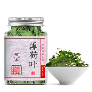 何遇 薄荷叶泡茶干薄荷叶食用新鲜薄荷叶干泡水喝茶叶中药材口嚼