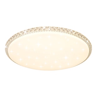 led吸顶灯简约现代客厅灯大气轻奢卧室灯2025年新款房间餐厅灯具