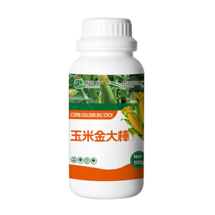 玉米金大棒玉米生根壮苗茎秆粗壮抗倒伏棒大粒饱封顶好抗逆新农友