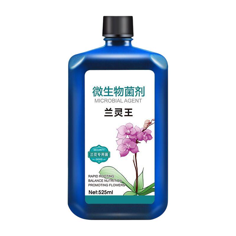 兰花专用营养液促进生根活化土壤