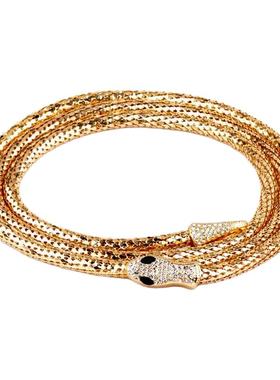 欧美风个性闪钻灵蛇项链