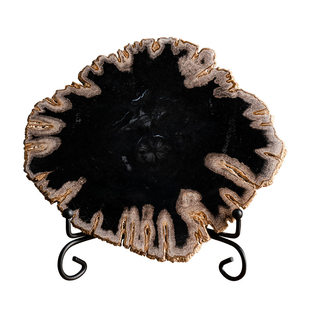 天然木化石原石切片桌面摆件博古架格子树化石装饰设计师样板间