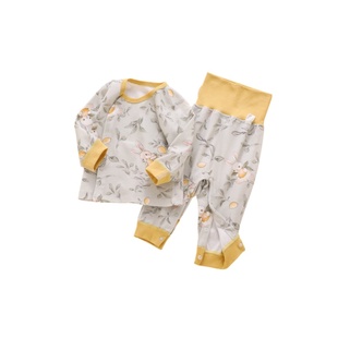 婴儿衣服秋季幼儿早秋小月龄宝宝秋天睡衣小孩0到1岁秋装秋衣套装