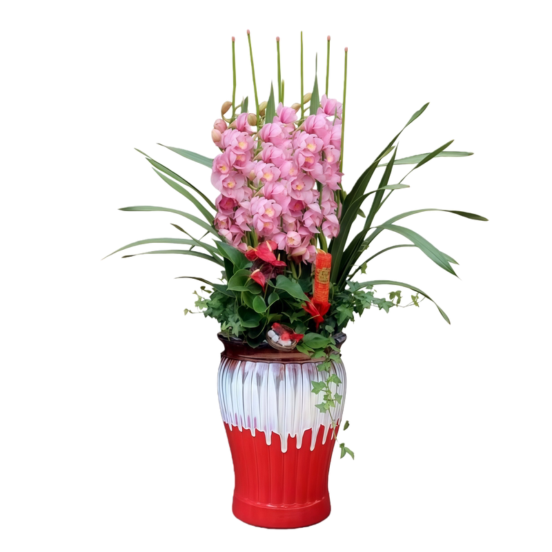 大花蕙兰年宵花高端室内花送长辈