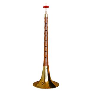 唢呐乐器全套高档红檀木专业八孔降B红白事大音量成人儿童入门D调