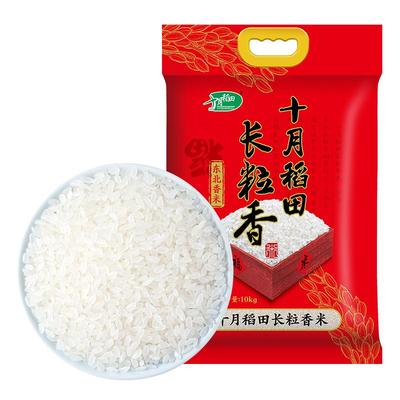 2025新米十月稻田长粒香大米10kg