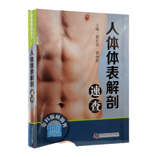 正版人体体表解剖速查 彩图版 介绍人体相应骨骼体表标志 肌性标志及临床常见压痛点的探查方法 郭长青 黄怡然 中国科学技术出版社