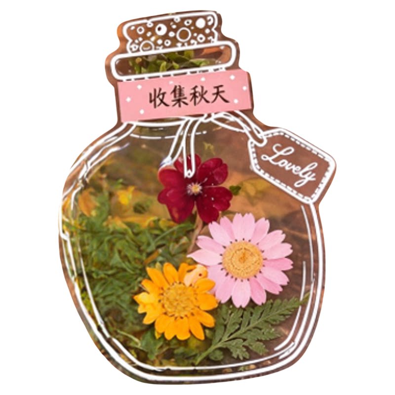 干花书签瓶子里的秋天收集标本塑封膜压花树叶小学生自制diy材料