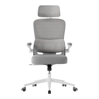 得力普乐士自适应护腰主管椅