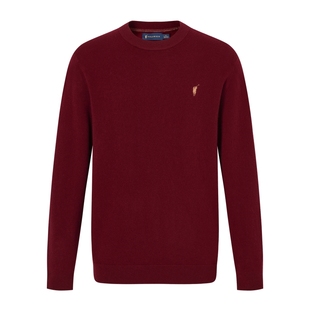 【绵羊毛100%】POLOWALK男装2025冬季新品5A抗菌2A防螨男式羊毛衫