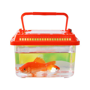 新款小号手提饲养缸运输盒乌龟盒塑料金鱼缸鱼盒宠物盒养蚕蝌蚪