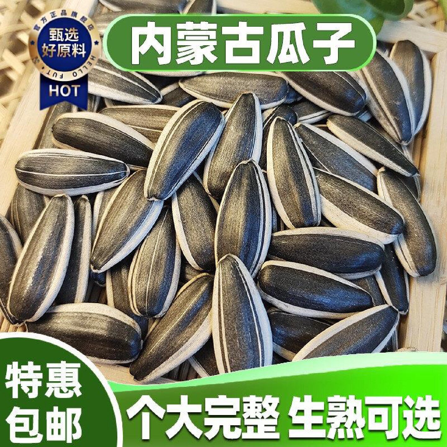 三龙源 新生瓜子葵花籽新货新疆葵花籽大颗粒优质瓜子南瓜子新鲜