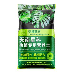 天南星科热植专用龟背竹营养土蔓绿绒海芋花烛泥炭土大颗粒营养土