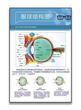 验光流程图眼科医院宣传挂画