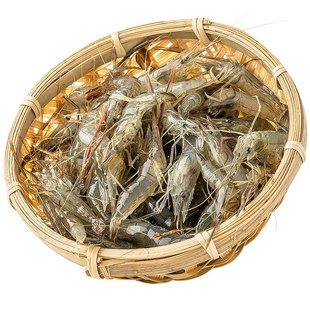 微山湖清水小河虾鲜活淡水草虾活虾冰冻新鲜大号青虾鱼食速冻土虾