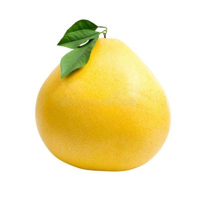 【官方推荐】热销平和红心蜜柚