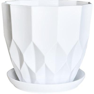 多肉绿萝红掌郁金香精致小花盆