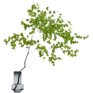 日本吊钟真枝假叶植物仿真绿植造景马醉木轻奢室内装饰干支大树枝