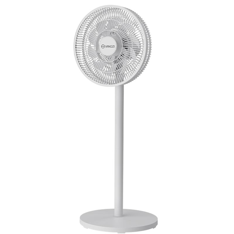 揚子電風扇落地扇家用2024新款電扇大風力立式遙控輕音宿舍搖頭扇