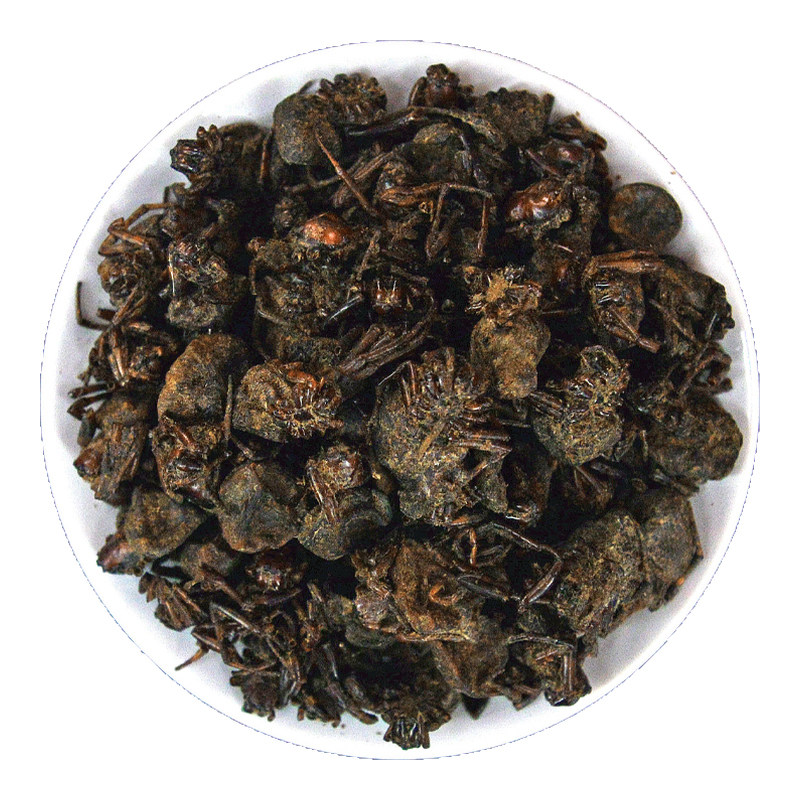 蜘蛛中药材正品网虫黑蜘蛛干货