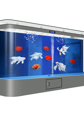 创海智能特大型底部增氧冒泡鱼缸