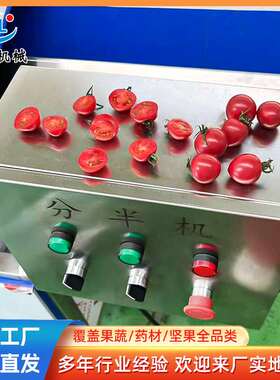 商用蔬果分半机 输送式圣女果青桔切半机  全自动小番茄分半机