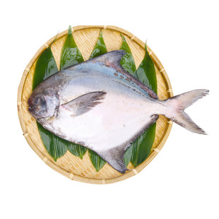 舟山特大斗鲳鱼礼盒高档年货海鲜送礼新年走亲戚送长辈宁波特产