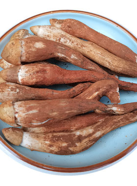 新鲜野生鸡枞菌鸡棕云南野山菌菇