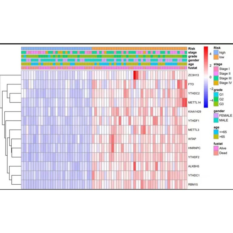 生信分析单细胞测序转录组TCGA GEO数