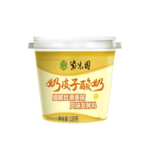 紫光园老字号奶皮子酸奶北京特产