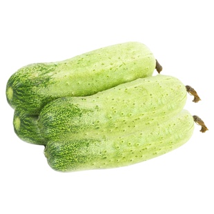 中华大刺水果黄瓜种子菜籽旱黄瓜种籽四季黄瓜秋盆栽苗秧蔬菜种孑