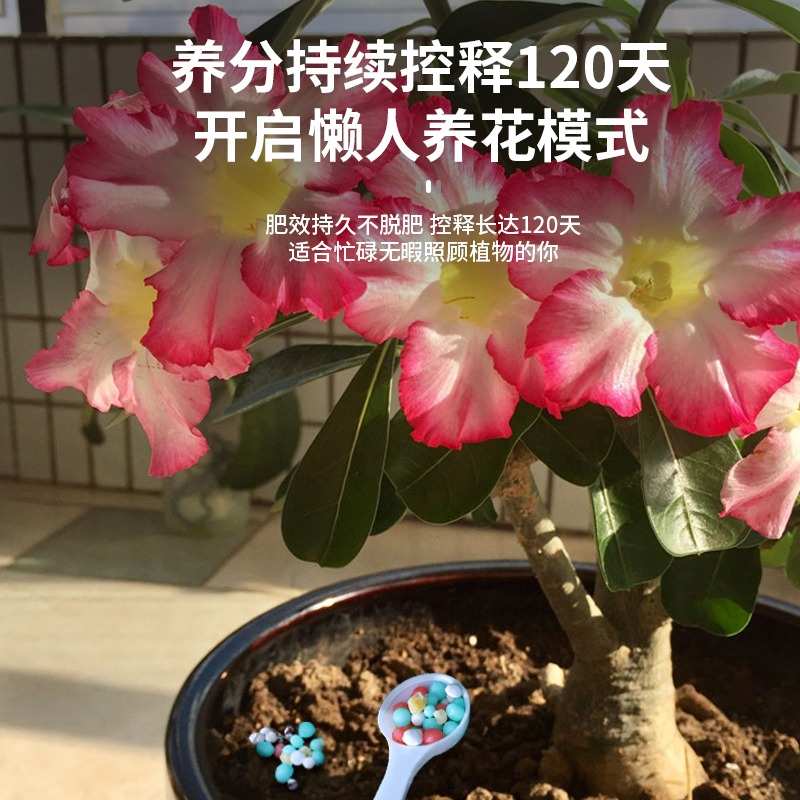 花卉氮磷钾养花肥种花通用肥料复合肥花肥盆栽兰花专用缓释肥家用