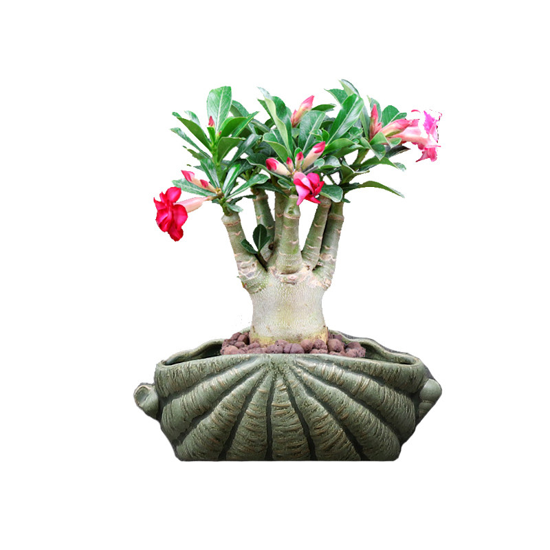 简易欧式风免打孔包邮花盆陶瓷