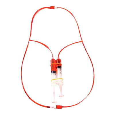 儿童认识人体器官血液循环模型