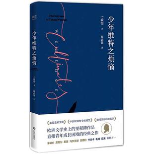 远大前程（豆瓣9.1分翻译家王科一译本！入选BBC评选的“英国小说百强”） ID:7262